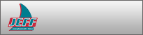TeamViewer för fjärrsupport